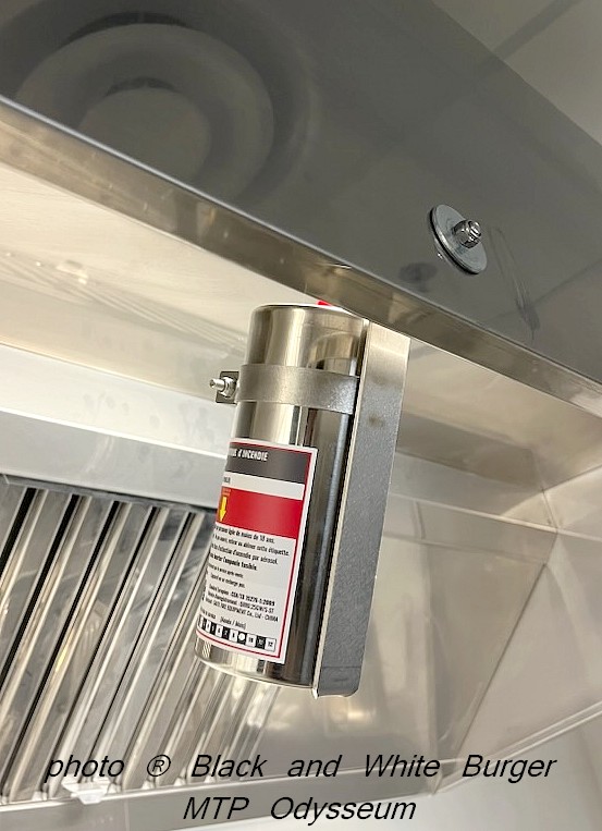 FRITOFLEX Systme autonome pour le dtection et l'extinction automatique de feu de friteuse en cuisine professionnelle